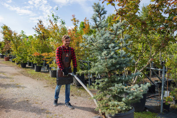 Best Commercial Tree Services  in Pojoaque, NM